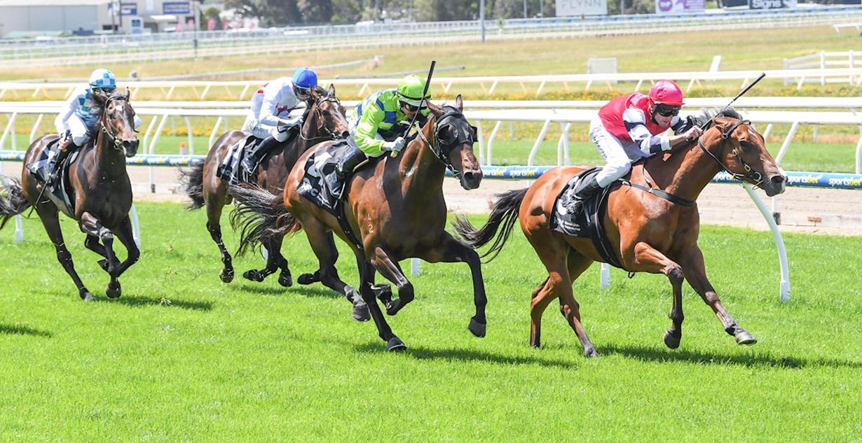 Lapland - Mornington 23rd December 2025